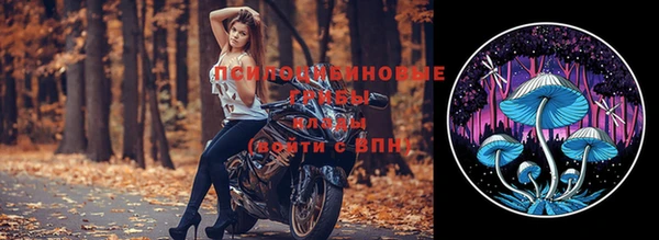 прущие крисы Алексеевка